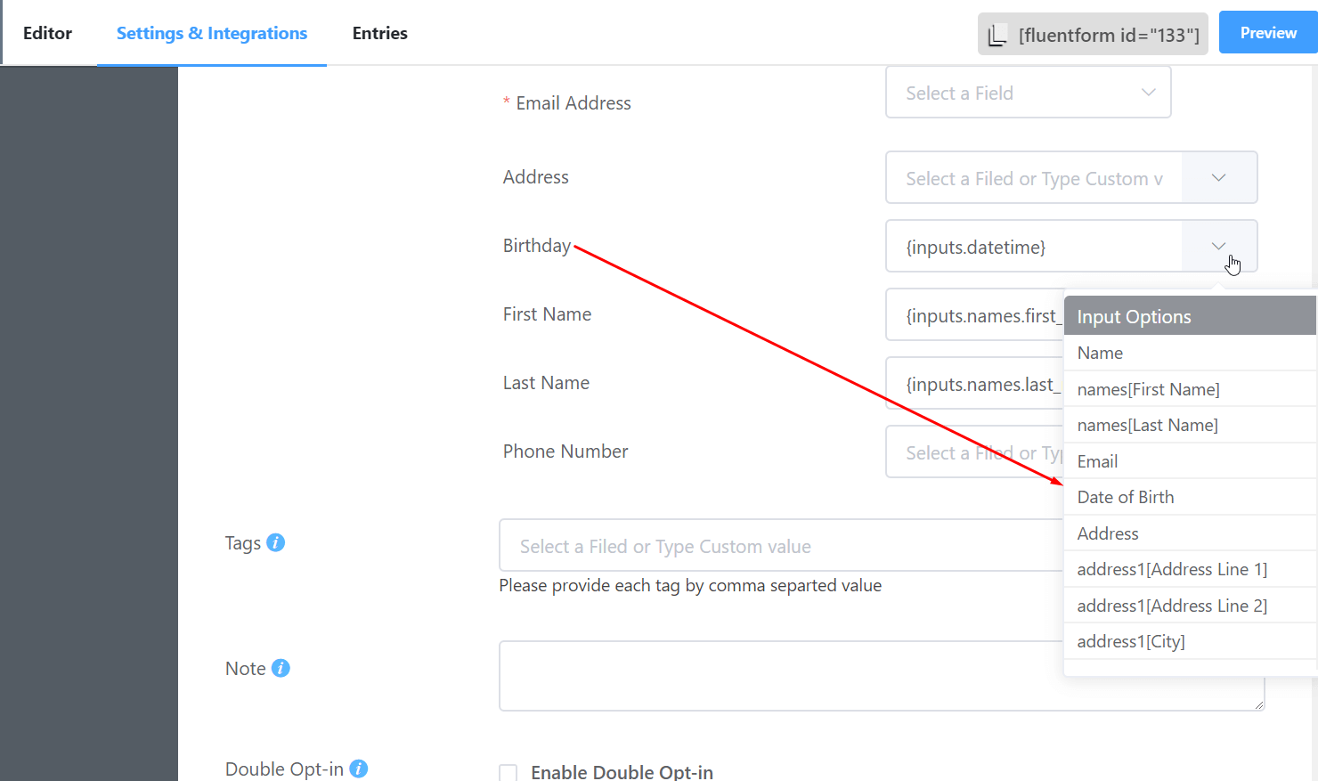 field mapping mailchimp and wp fluent form