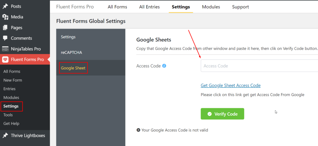 Google Sheet Access Code WP Fluent Forms
