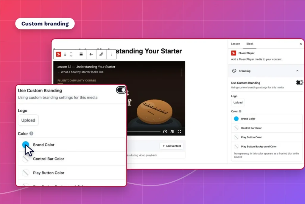 FluentPlayer settings for courses with skin and color controls