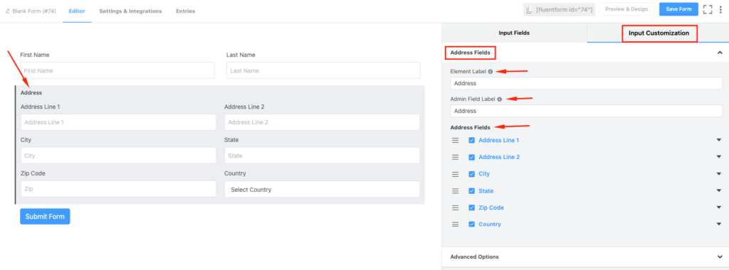 Address Input Field in WP Fluent Form WordPress Plugin