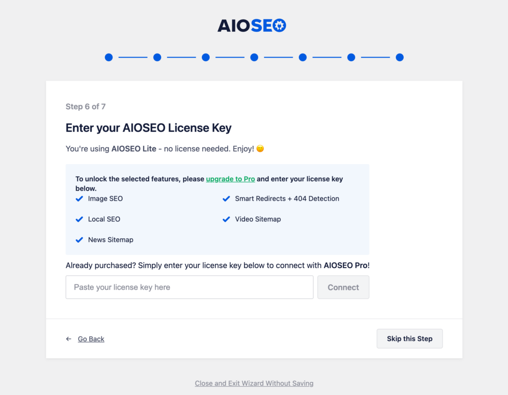All in One SEO - Enter license key