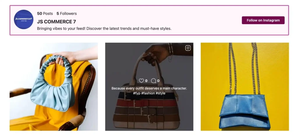A preview of displaying Instagram feed on WordPress with WP Social Ninja