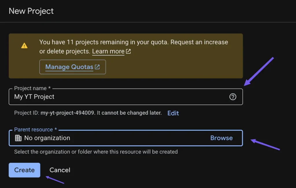 Showing project name for youtube embed