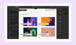 10 Reasons To Build Your Website With Droip Wp Manage Ninja 10 Reasons To Build Your Website With Droip Wp Manage Ninja