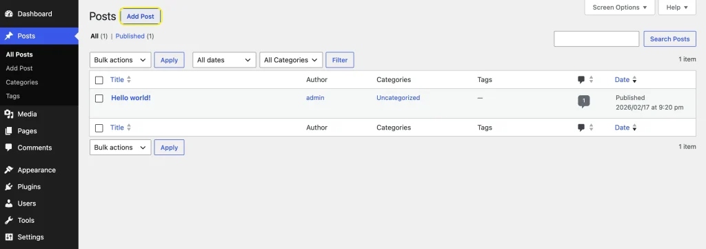 Write and publish your first post in WordPress